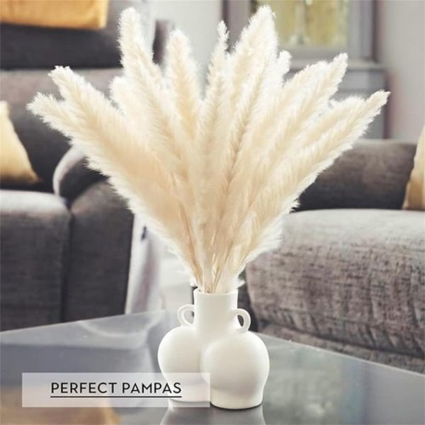 Torkade pampasgräs, 15-pack, 43 cm Dekoration av vaser med blommor