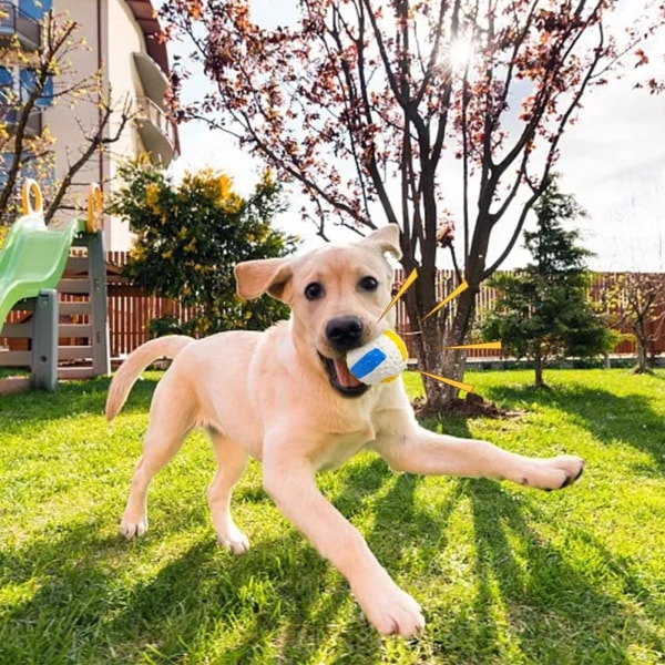 2 st hundboll leksak pipboll hundar pipboll tugga