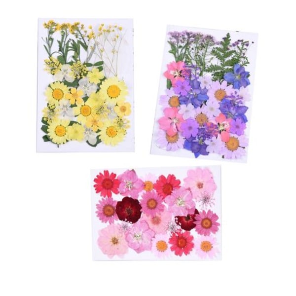 Dreamtop-pakke med 85 naturlige tørrede blomster, pressede blomster blandet