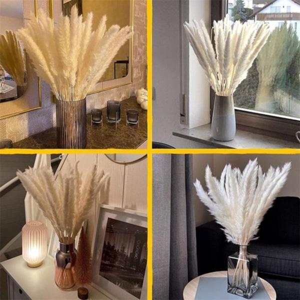 Torkade pampasgräs, 15-pack, 43 cm Dekoration av vaser med blommor