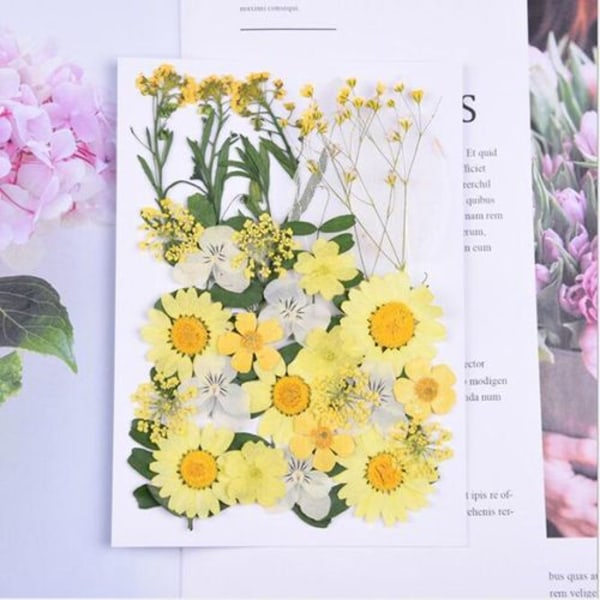 Dreamtop-pakke med 85 naturlige tørkede blomster Pressede blomster blandet