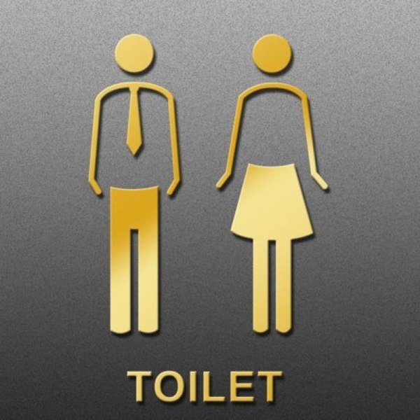 19 x 14 cm, personligt toiletskilt, toiletskilt - slips - guld