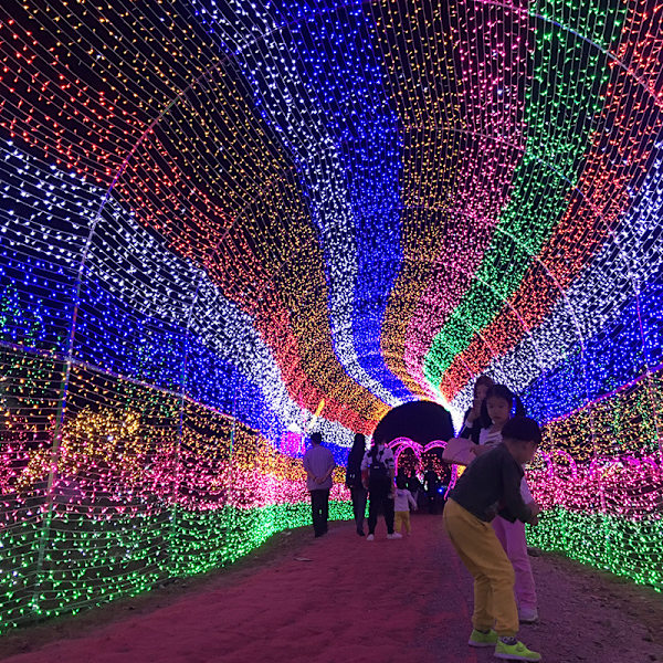 100M 600 LED ljusslinga utomhus karneval bröllop inomhus trädgårdsbelysning colorful 100M-600 LED lights