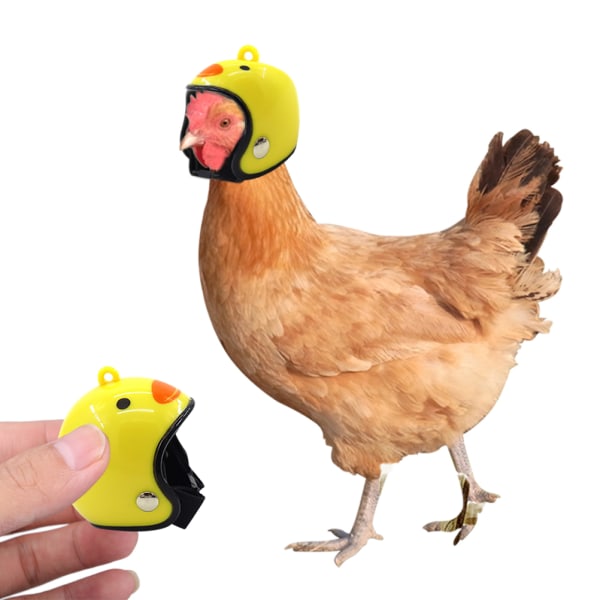 Tecknad kycklinghjälm Liten husdjurshjälm Justerbar fjäderfäsäkerhet