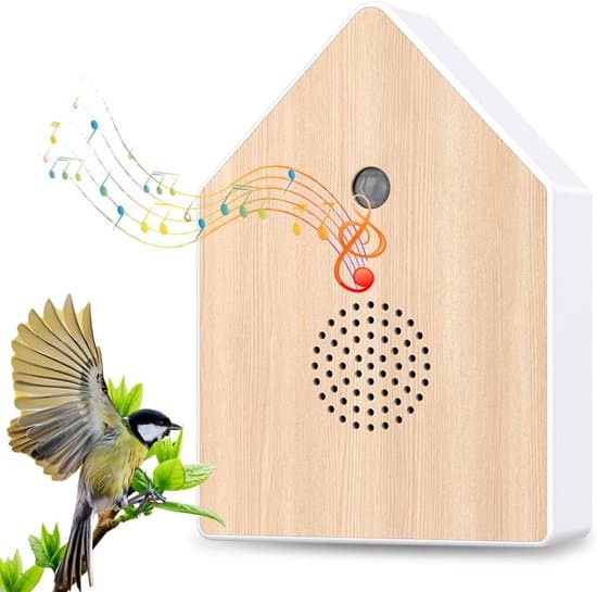 Speaker with Built-in Natural Birdsong and Motion Sensor, Wall-Mountable