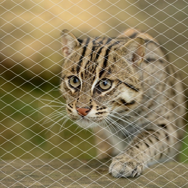 Anti Cat Net Balkong Skyddsnät UV Resistens Nylon Pet Fence Hundar Skyddsnät