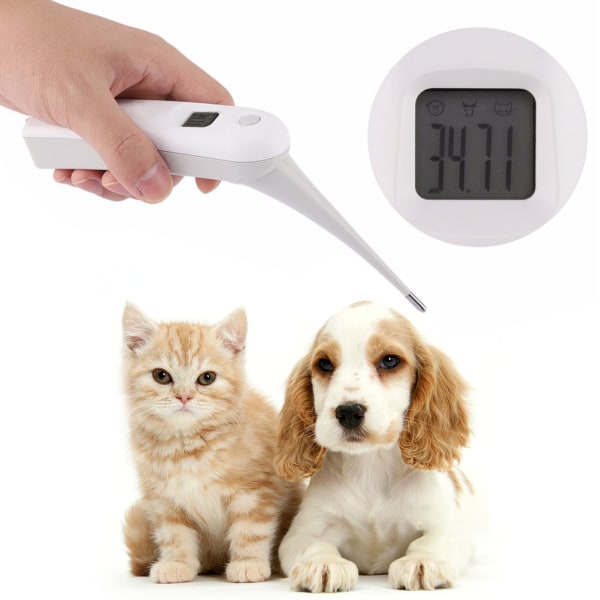 Vetermometer Digital Pet-termometer Elektronisk termometer för djur