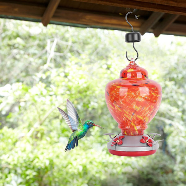 Pihapihan Värikäs Maalaus Lintujen Ruokinta-astia Veden Ruokinta Työkalu Hummingbirdeille Käyttötyyppi A