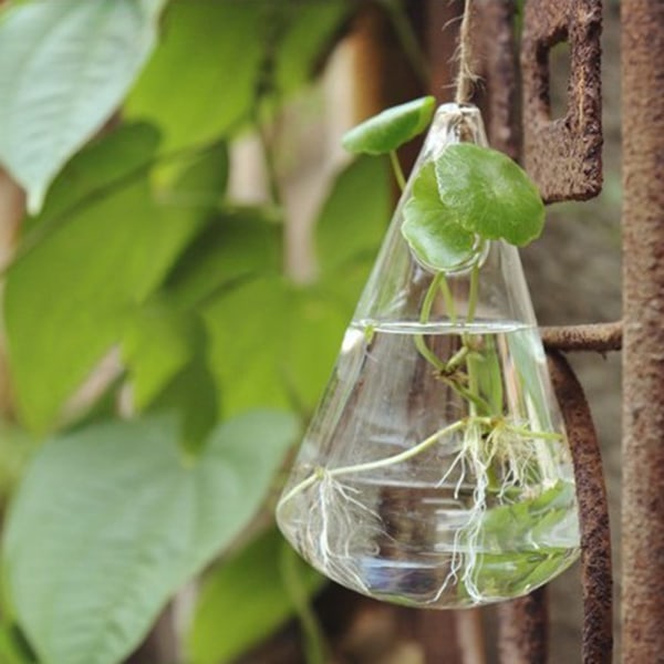 Ripustettava lasinen kukka vesipisaran muotoinen terrarium-astia Kotipuutarhan sisustus Lasipullo