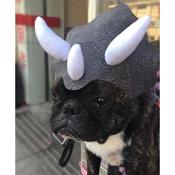 Husdjurshuvudbonad Triceratops Husdjurshuvud Rolig Husdjurskläder Hund Katt Klä Upp Festkläder Kläder Cosplay Söt Horn Huvudbonad