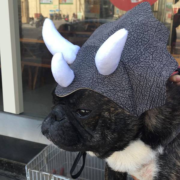 Husdjurshuvudbonad Triceratops Husdjurshuvud Rolig Husdjurskläder Hund Katt Klä Upp Festkläder Kläder Cosplay Söt Horn Huvudbonad