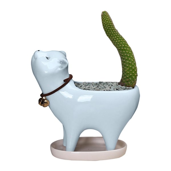 Katteunger Keramik Sukkulenter Potter med Drænhul Mini Potter til Planter Kaktus Planter Beholdere til Hjem og Kontor Dekoration