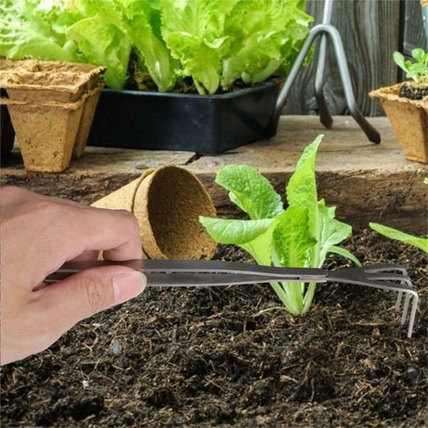 2 i 1 Bonsai Root Rake i rostfritt stål Trädgårdspincett Trädgårdsredskap