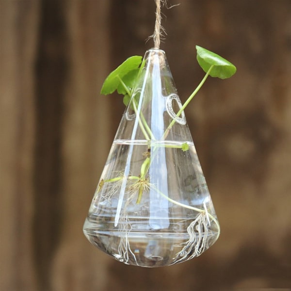 Ripustettava lasinen kukka vesipisaran muotoinen terrarium-astia Kotipuutarhan sisustus Lasipullo