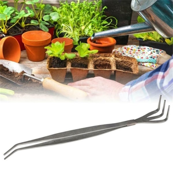 2 i 1 Bonsai Root Rake i rostfritt stål Trädgårdspincett Trädgårdsredskap