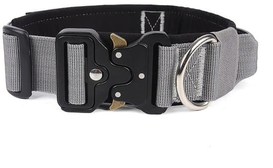 M - Neck circumference 38–48 cm - width 3.8 cm - For weight 13–28 kg - Adjustable - Reinforced dog collar - Pull resistant - For medium to large dogs