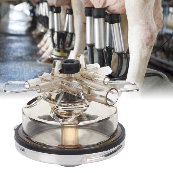 350cc Farm Milking Claw Collector Tool Mjölkningsmaskin tillbehör Ersättning för kofår
