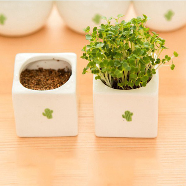 Mini Moderne Sukkulente Plantepotter Små Keramiske Beholdere, Haveblomstpotter (Kvadrat)