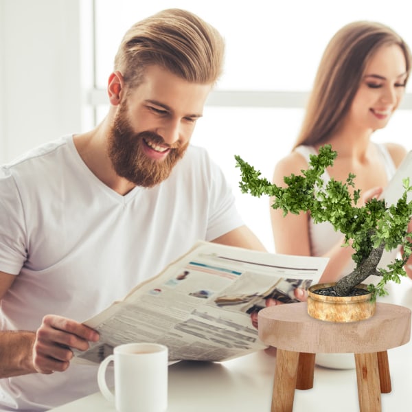 Indendørs Plante Stativ Træ Mini Blomsterpotte Stativ Træ Skammel Træ Blomsterpotte Holder