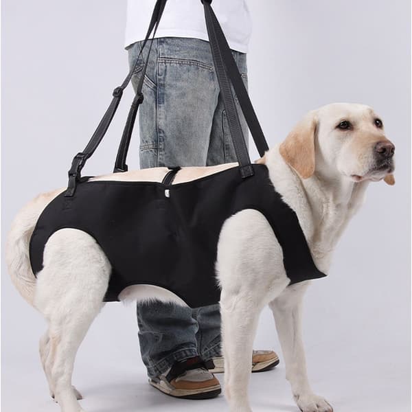 XXL Size Dog Harness - Breathable Mesh Lifting Strap, Suitable for Dogs with Mobility Issues - Black