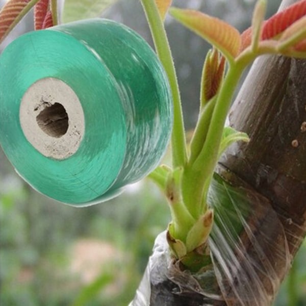 1/5 pakker med plante-podetape for barnehage, selvklebende, biologisk nedbrytbar podetape