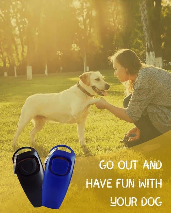 Two whistles, suitable for dog trainers, are professional aids for behavioral training with reminder functions, in black and blue.