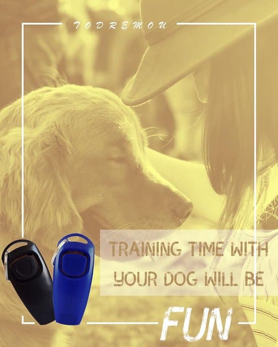 Two whistles, suitable for dog trainers, are professional aids for behavioral training with reminder functions, in black and blue.