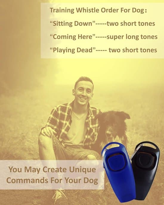 Two whistles, suitable for dog trainers, are professional aids for behavioral training with reminder functions, in black and blue.