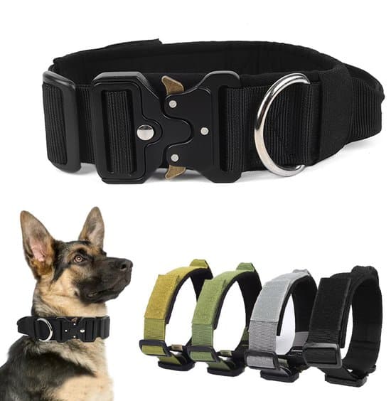 M - Neck circumference 38–48 cm - width 3.8 cm - For weight 13–28 kg - Adjustable - Reinforced dog collar - Pull resistant - For medium to large dogs