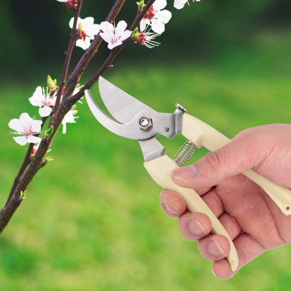 SK-5 Legering Stål Beskærings Saks Have Hånd Beskærer Sekatører Cutter Planter Værktøj (buet hoved)