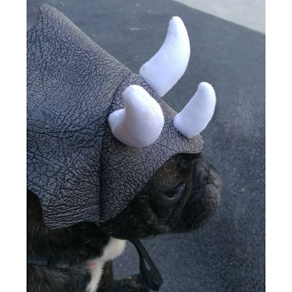 Husdjurshuvudbonad Triceratops Husdjurshuvud Rolig Husdjurskläder Hund Katt Klä Upp Festkläder Kläder Cosplay Söt Horn Huvudbonad