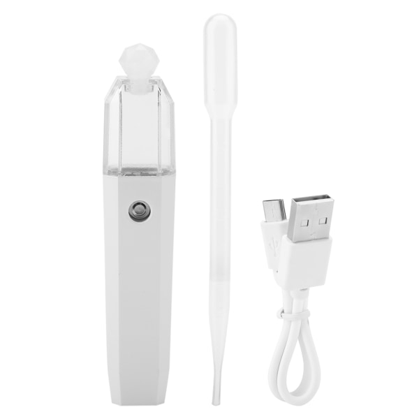 1st USB Bärbar Mini Face Mist Spray Handhållen luftfuktare Ansiktsångare Instrument