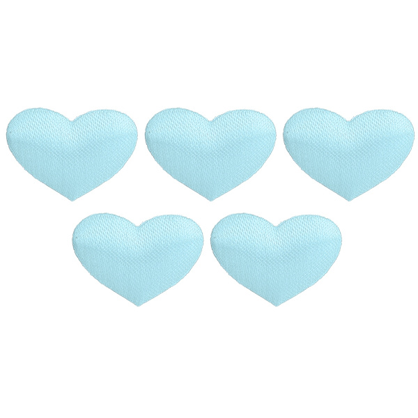 500 stk Hjerteformet Dekorasjonssvamppose Bryllup Jubileum Valentinsdag Festtilbehør (2,1 cm Lyseblå 500 stk Pose)