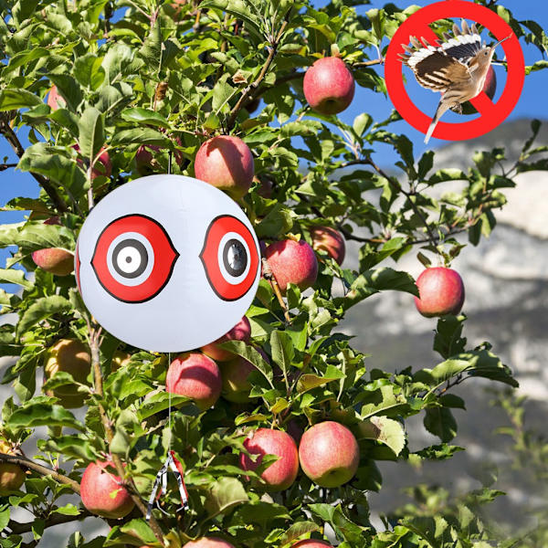 Terror Ilmapallo Lintujen Pelottamiseen, Petoeläimen Ilmapallo (Valkoinen)