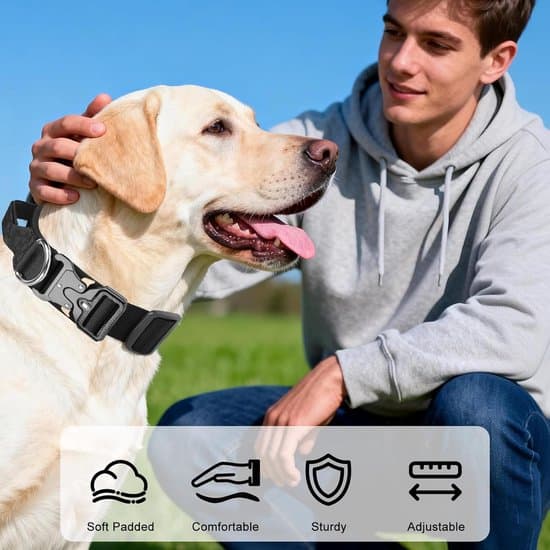 M - Neck circumference 38–48 cm - width 3.8 cm - For weight 13–28 kg - Adjustable - Reinforced dog collar - Pull resistant - For medium to large dogs