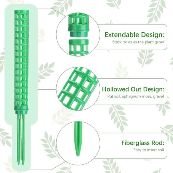 Plant Support - Moss Pole Plant Support for Monstera and Pothos (4-pack) - Green