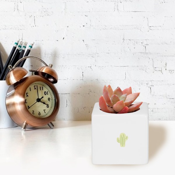 Mini moderna suckulenta växtkrukor små keramiska behållare, trädgård blomkrukor (kvadrat)