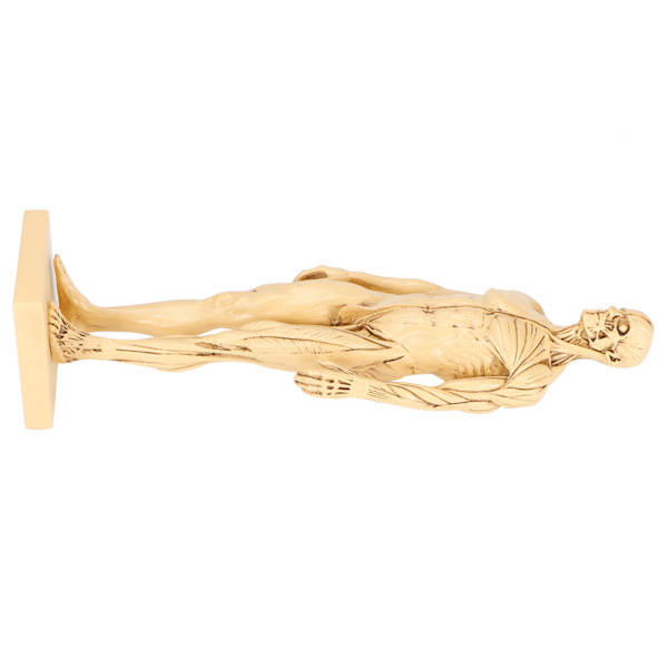 Mannequin Resin Menneskelig Muskelmodel Skitseundervisning Tegning Mandlig Kropsanatomi Model