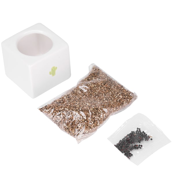 Mini Moderne Sukkulente Plantepotter Små Keramiske Beholdere, Haveblomstpotter (Kvadrat)
