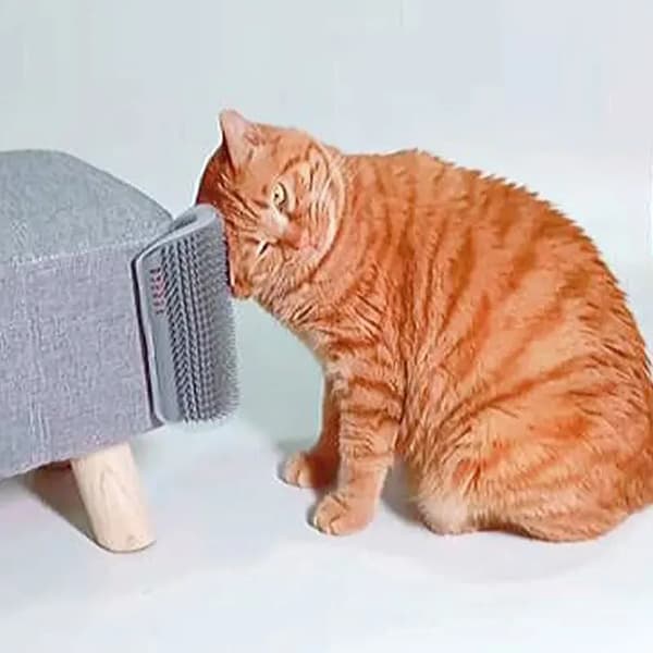 Kattborste för pälsvård, utökad version 15,5 cm – 2-pack – Grå – Klös- och massageborste