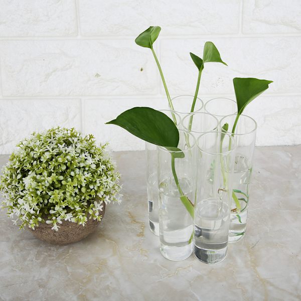 Transparent lång rör glasvas hydroponisk terrarium planterhållare blomma vas dekoration