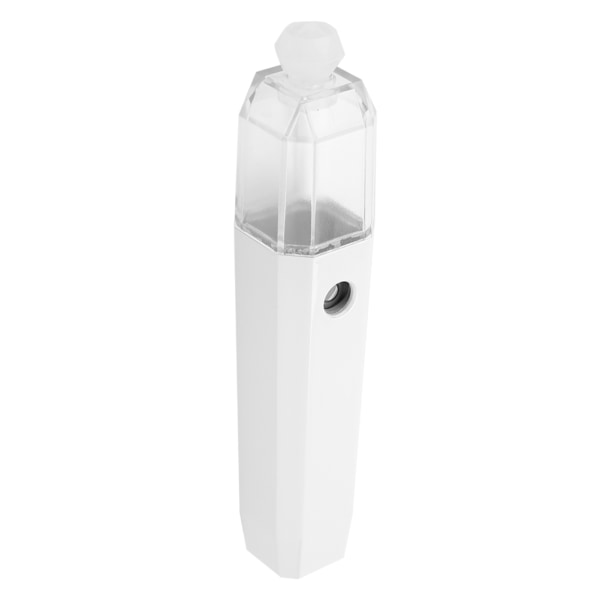 1st USB Bärbar Mini Face Mist Spray Handhållen luftfuktare Ansiktsångare Instrument