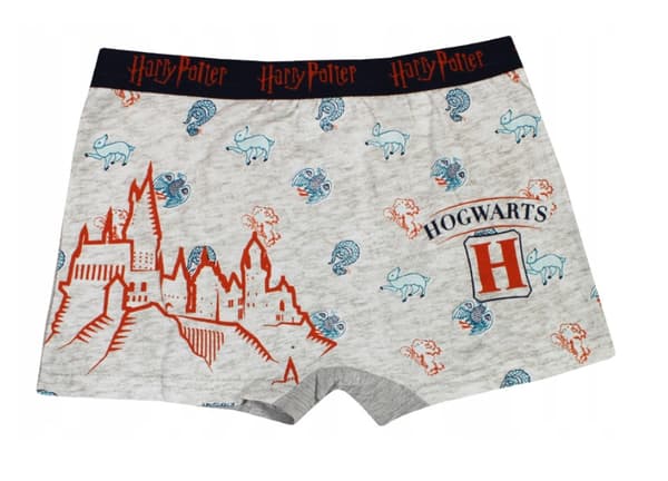 Harry Potter barnboxershorts 2 Pack 6/8 år