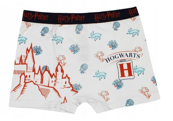 Harry Potter barnboxershorts 2 Pack 10/12 år