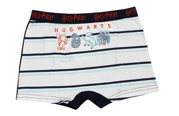 Harry Potter barnboxershorts 2 Pack 10/12 år