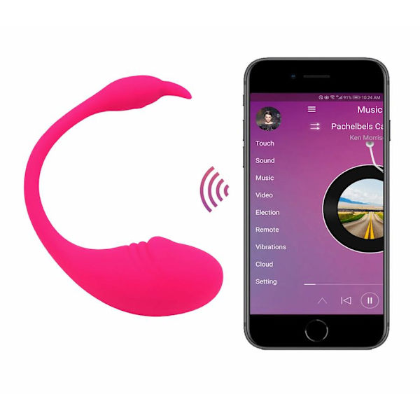 Remote controlled vibrator for pleasant foreplay, 10 speeds