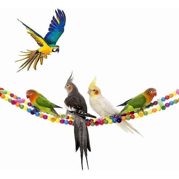 Fuglelegetøj til papegøje, stige, gynge, dressur regnbuebro til papegøjer, parakitter, conures, kakadue