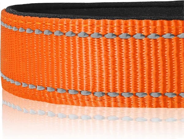 Nylon Hundehalsbånd med Refleksstribe, Klassisk Polstret Halsbånd til Store Hunde, Orange