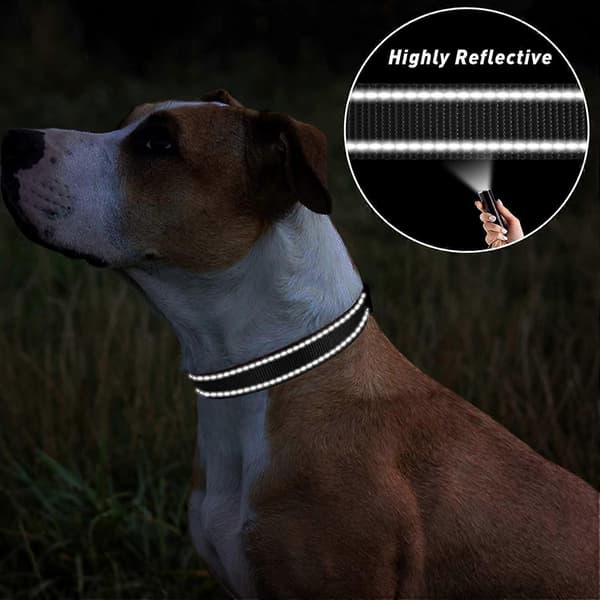 Hundhalsband, justerbart reflexhalsband i nylon för valpar, svart
