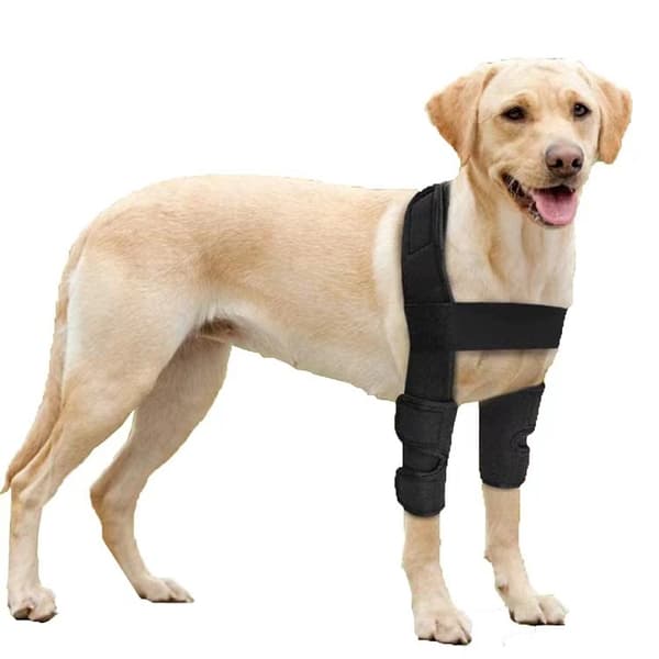 Hundbensskydd (M)